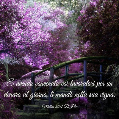 Picture 03 - Matteo 20:2 RIV - E avendo convenuto coi lavoratori per un denaro - Bible Verse Picture