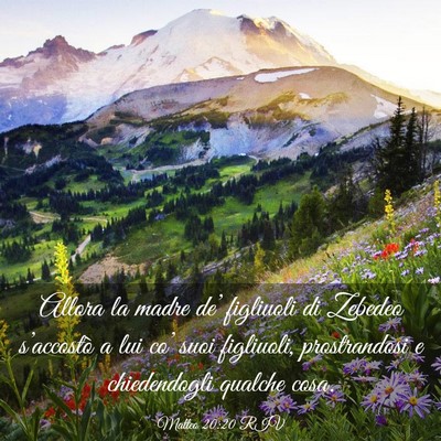 Picture 03 - Matteo 20:20 RIV - Allora la madre de’ figliuoli di Zebedeo - Bible Verse Picture