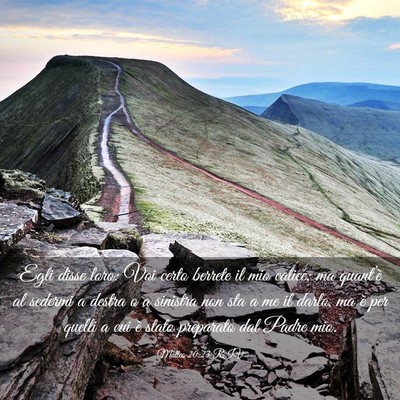 Picture 03 - Matteo 20:23 RIV - Egli disse loro: Voi certo berrete il mio calice; - Bible Verse Picture