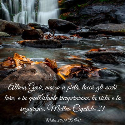 Picture 03 - Matteo 20:34 RIV - Allora Gesù, mosso a pietà, toccò gli occhi - Bible Verse Picture