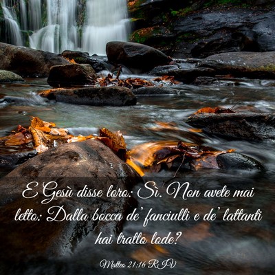 Picture 03 - Matteo 21:16 RIV - E Gesù disse loro: Sì. Non avete mai letto: - Bible Verse Picture