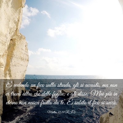 Picture 03 - Matteo 21:19 RIV - E vedendo un fico sulla strada, gli si accostò, - Bible Verse Picture