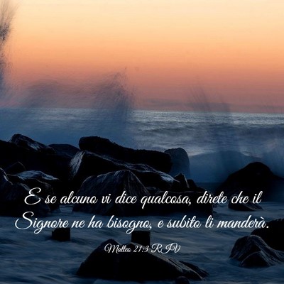 Picture 03 - Matteo 21:3 RIV - E se alcuno vi dice qualcosa, direte che il - Bible Verse Picture