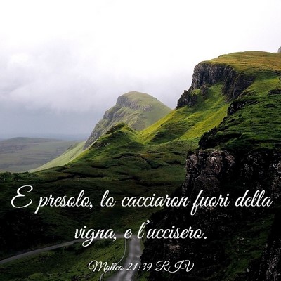 Picture 03 - Matteo 21:39 RIV - E presolo, lo cacciaron fuori della vigna, e - Bible Verse Picture