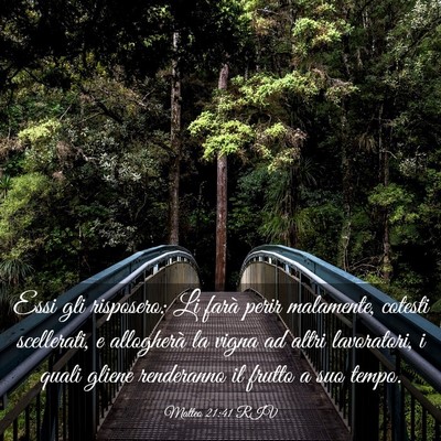 Picture 03 - Matteo 21:41 RIV - Essi gli risposero: Li farà perir malamente, - Bible Verse Picture