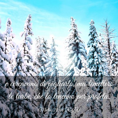 Picture 03 - Matteo 21:46 RIV - e cercavano di pigliarlo, ma temettero le turbe, - Bible Verse Picture