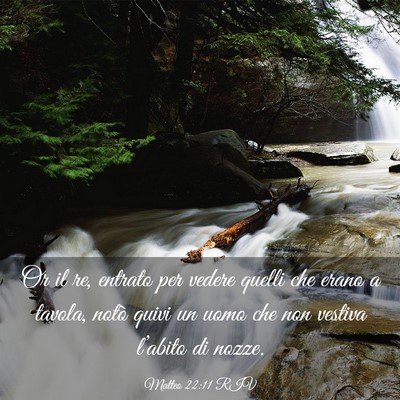 Picture 03 - Matteo 22:11 RIV - Or il re, entrato per vedere quelli che erano a - Bible Verse Picture