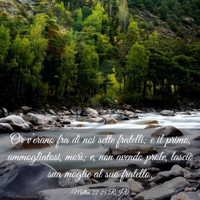 Picture 03 - Matteo 22:25 RIV - Or v’erano fra di noi sette fratelli; e il - Bible Verse Picture