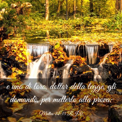 Picture 03 - Matteo 22:35 RIV - e uno di loro, dottor della legge, gli domandò, - Bible Verse Picture