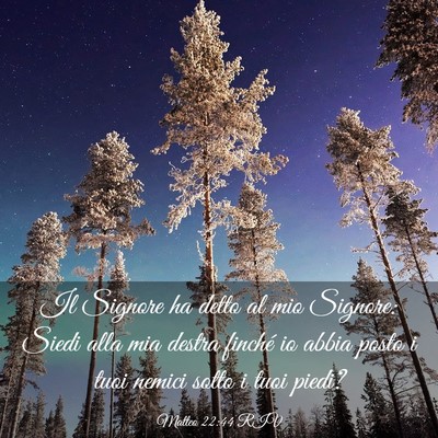 Picture 03 - Matteo 22:44 RIV - Il Signore ha detto al mio Signore: Siedi alla - Bible Verse Picture