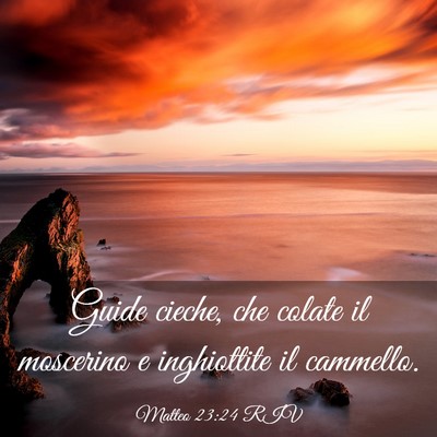 Picture 03 - Matteo 23:24 RIV - Guide cieche, che colate il moscerino e - Bible Verse Picture
