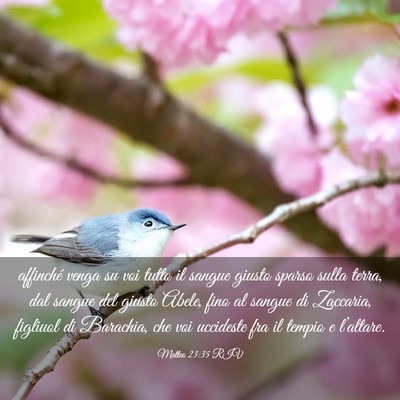Picture 03 - Matteo 23:35 RIV - affinché venga su voi tutto il sangue giusto - Bible Verse Picture
