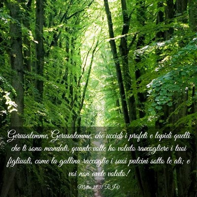 Picture 03 - Matteo 23:37 RIV - Gerusalemme, Gerusalemme, che uccidi i profeti e - Bible Verse Picture