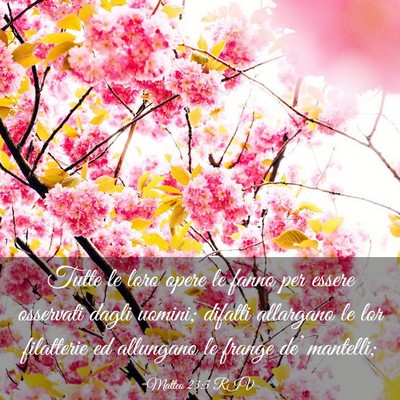 Picture 03 - Matteo 23:5 RIV - Tutte le loro opere le fanno per essere osservati - Bible Verse Picture