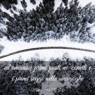 Picture 03 - Matteo 23:6 RIV - ed amano i primi posti ne’ conviti e i primi - Bible Verse Picture