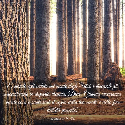 Picture 03 - Matteo 24:3 RIV - E stando egli seduto sul monte degli Ulivi, i - Bible Verse Picture