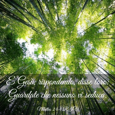 Picture 03 - Matteo 24:4 RIV - E Gesù, rispondendo, disse loro: Guardate che - Bible Verse Picture