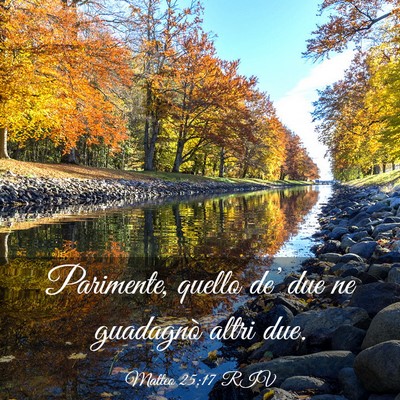 Picture 03 - Matteo 25:17 RIV - Parimente, quello de’ due ne guadagnò altri - Bible Verse Picture