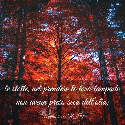Picture 03 - Matteo 25:3 RIV - le stolte, nel prendere le loro lampade, non - Bible Verse Picture
