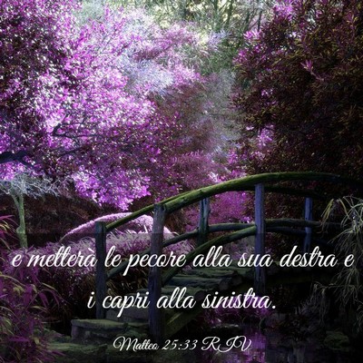 Picture 03 - Matteo 25:33 RIV - e metterà le pecore alla sua destra e i capri - Bible Verse Picture
