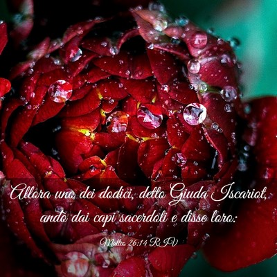 Picture 03 - Matteo 26:14 RIV - Allora uno dei dodici, detto Giuda Iscariot, - Bible Verse Picture