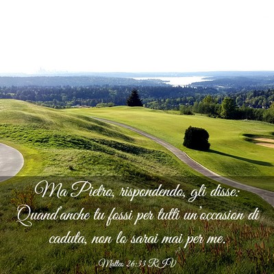 Picture 03 - Matteo 26:33 RIV - Ma Pietro, rispondendo, gli disse: Quand’anche - Bible Verse Picture