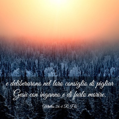 Picture 03 - Matteo 26:4 RIV - e deliberarono nel loro consiglio di pigliar - Bible Verse Picture
