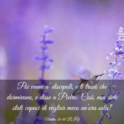 Picture 03 - Matteo 26:40 RIV - Poi venne a’ discepoli, e li trovò che - Bible Verse Picture