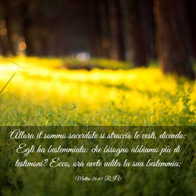 Picture 03 - Matteo 26:65 RIV - Allora il sommo sacerdote si stracciò le vesti, - Bible Verse Picture