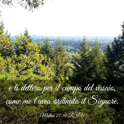 Picture 03 - Matteo 27:10 RIV - e li dettero per il campo del vasaio, come me - Bible Verse Picture