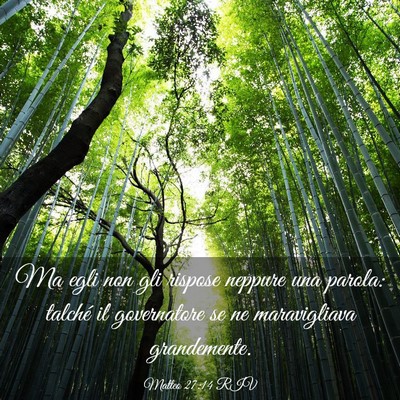 Picture 03 - Matteo 27:14 RIV - Ma egli non gli rispose neppure una parola: - Bible Verse Picture