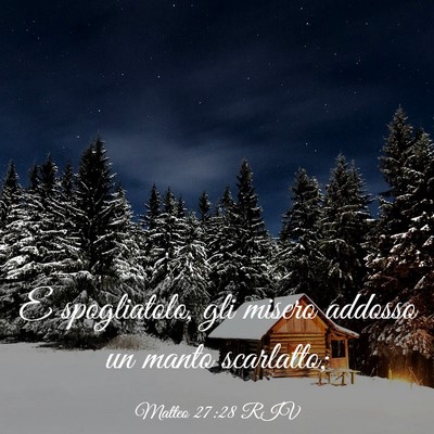 Picture 03 - Matteo 27:28 RIV - E spogliatolo, gli misero addosso un manto - Bible Verse Picture