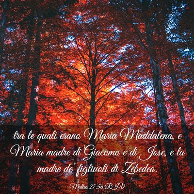 Picture 03 - Matteo 27:56 RIV - tra le quali erano Maria Maddalena, e Maria madre - Bible Verse Picture