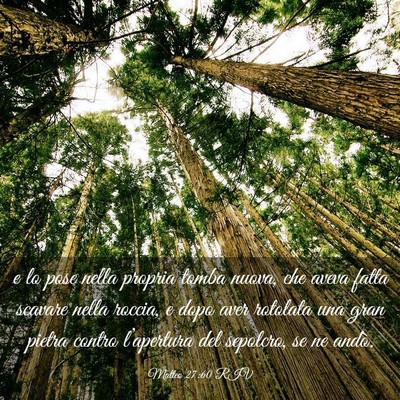 Picture 03 - Matteo 27:60 RIV - e lo pose nella propria tomba nuova, che aveva - Bible Verse Picture
