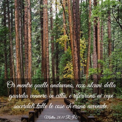 Picture 03 - Matteo 28:11 RIV - Or mentre quelle andavano, ecco alcuni della - Bible Verse Picture