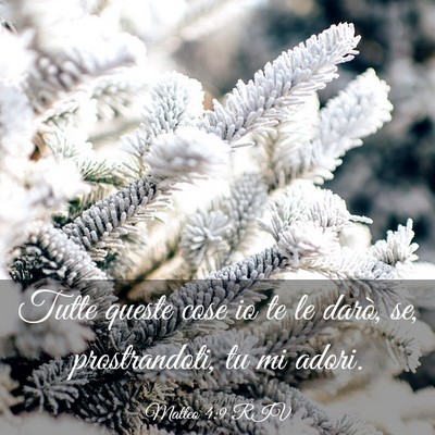Picture 03 - Matteo 4:9 RIV - Tutte queste cose io te le darò, se, - Bible Verse Picture