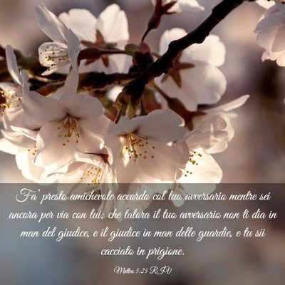 Picture 03 - Matteo 5:25 RIV - Fa’ presto amichevole accordo col tuo - Bible Verse Picture