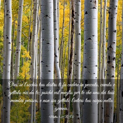 Picture 03 - Matteo 5:29 RIV - Ora, se l’occhio tuo destro ti fa cadere in - Bible Verse Picture