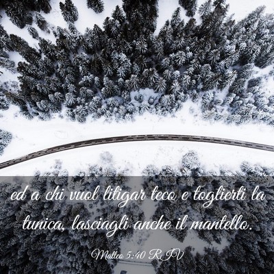 Picture 03 - Matteo 5:40 RIV - ed a chi vuol litigar teco e toglierti la tunica, - Bible Verse Picture