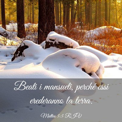 Picture 03 - Matteo 5:5 RIV - Beati i mansueti, perché essi erederanno la - Bible Verse Picture