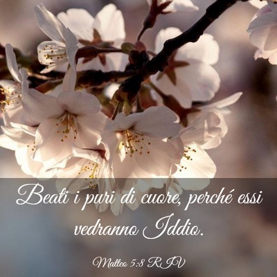 Picture 03 - Matteo 5:8 RIV - Beati i puri di cuore, perché essi vedranno - Bible Verse Picture