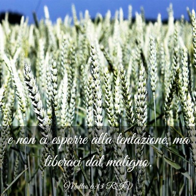 Picture 03 - Matteo 6:13 RIV - e non ci esporre alla tentazione, ma liberaci dal - Bible Verse Picture