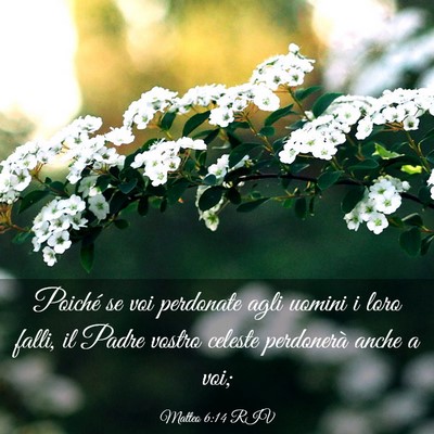 Picture 03 - Matteo 6:14 RIV - Poiché se voi perdonate agli uomini i loro - Bible Verse Picture
