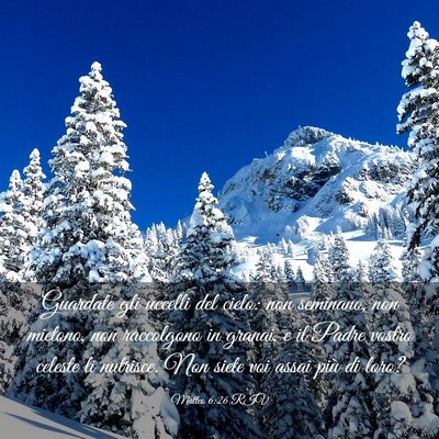 Picture 03 - Matteo 6:26 RIV - Guardate gli uccelli del cielo: non seminano, non - Bible Verse Picture