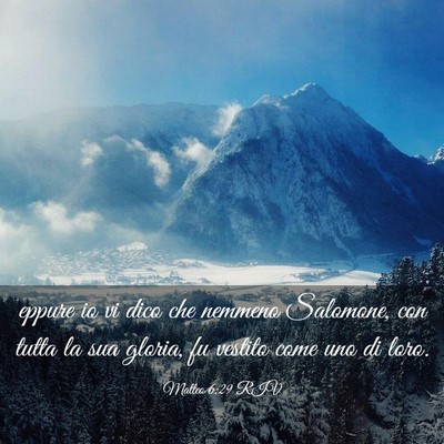 Picture 03 - Matteo 6:29 RIV - eppure io vi dico che nemmeno Salomone, con tutta - Bible Verse Picture
