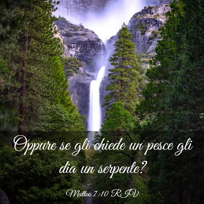 Picture 03 - Matteo 7:10 RIV - Oppure se gli chiede un pesce gli dia un - Bible Verse Picture