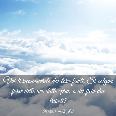 Picture 03 - Matteo 7:16 RIV - Voi li riconoscerete dai loro frutti. Si colgon - Bible Verse Picture
