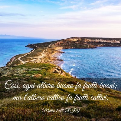 Picture 03 - Matteo 7:17 RIV - Così, ogni albero buono fa frutti buoni; ma - Bible Verse Picture