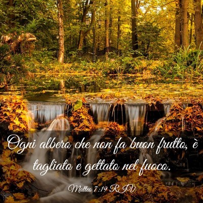 Picture 03 - Matteo 7:19 RIV - Ogni albero che non fa buon frutto, è tagliato e - Bible Verse Picture