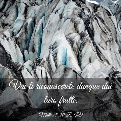 Picture 03 - Matteo 7:20 RIV - Voi li riconoscerete dunque dai loro - Bible Verse Picture